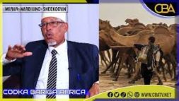 Waayojoog: Dabeecado u gaar ahaa Sayid Maxamed Cabdulle Xasan.Taxanaha Daraawiish & Sayidka Q-10aad.