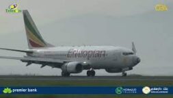 Qaybo ka mida shacabka Soomaaliya ayaa joojiyay tigidhada duulimaadyada shirkada Ethiopian Airlines