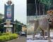 Tragedy! Giant Lion Kills Zookeeper in Nigerian University