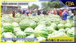 Hoos dhac baahasan oo laga dareemayo qiimaha la kala siisto xabxabka suuqyada Muqdisho