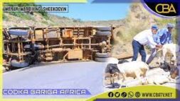 Ugu yaraan laba qof ayaa ku dhawaacmay shil gaadhi oo ka dhacay Dawga Sheekh ee gobolka Saaxil.