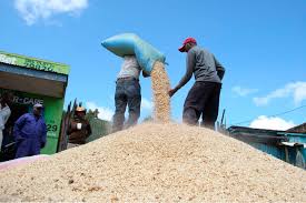 Kenya’s Maize Imports Shift as Non-Tariff Barriers Impact Trade with Tanzania