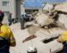 Additional survivor located as casualties surge to 32 in South Africa building collapse