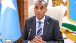 Raysal Wasaaraha Soomaaliya oo sheegay in ciidamada dowladdu qabtaan shaqo aan ahayn