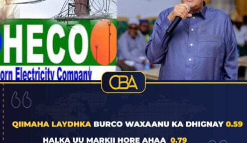 Tamarta oo noqotay caqabadda ugu weyn ee horumarka Afrika iyo Somaliland oo ku dedaalaysa helista koronto jaban