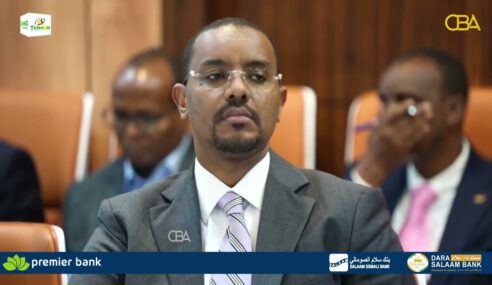 Dareen ka dhashay wefdiga ballaadhan ee Soomaaliya u dirayso Maraykanka.