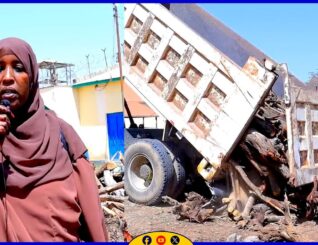 Digniin loo diray dhuxulaysatada Waqooyiga Gabiley