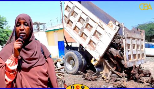 Digniin loo diray dhuxulaysatada Waqooyiga Gabiley