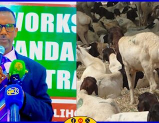 Wasiirka Wasaaradda Xannaanada xoolaha iyo horumarinta reer miyiga JSL ayaa furay kulan hawleed ku saabsan falanqaynta buuga calafka xoolaha.