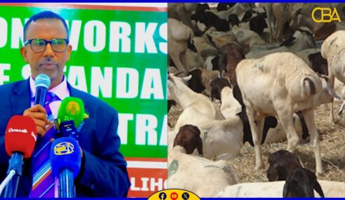 Wasiirka Wasaaradda Xannaanada xoolaha iyo horumarinta reer miyiga JSL ayaa furay kulan hawleed ku saabsan falanqaynta buuga calafka xoolaha.