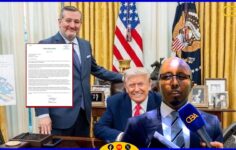 Xildhibaan Maxamed Jaamac Koodbuur ayaa hambalyo u diray Senator Ted Cruz, oo codsiga aqoonsiga Somaliland u gudbiyey Madaxwayne Trump.