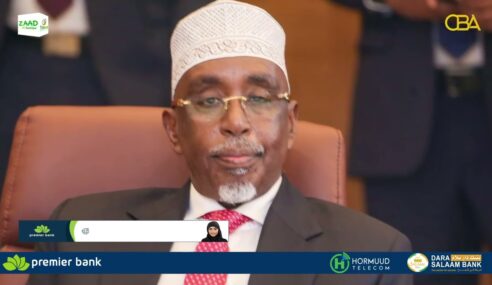 Xubnihii Mucaaradka ee isaga baxay Golaha Samatabixinta oo Beesha Caalamka la kulmaya.