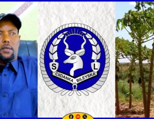 Badhasaab Ku Xigeenka Gobolka Maroodi Jeex ayaa ka hadlay xaaladda amni ee caasimadda Hargeysa