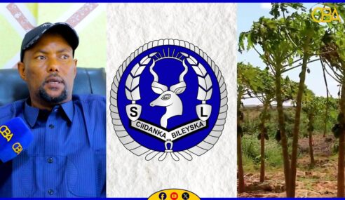 Badhasaab Ku Xigeenka Gobolka Maroodi Jeex ayaa ka hadlay xaaladda amni ee caasimadda Hargeysa