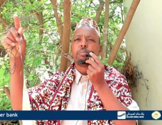 “Banka Wajaale waxaanu ogolnahay maalgelinta xukuumadda” Oday Axmed Maxamed Cali oo ka mid ah waxgaradka Gabiley.