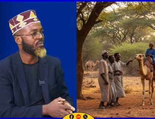 “Jareertu waxay leedahay caqliga geela oo cunug labo jir ah uu hogaamin karo” Wasiir Cabdishakuur Shaashaa Hirshabeelle