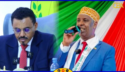 Maxaa ka jira shaqo-ka-joojin lagu sameeyay Badhasaabka Gobolka Awdal.?