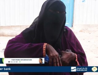 Shacabka ku dhaqan xaafada Oodweyne ee degmada Dayniile oo dhigay banaanbax xoogan.