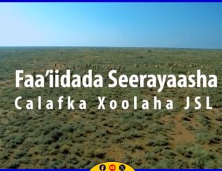 Warbixin :- Faa’iidada Seerayaasha Calafka Xoolaha Jamhuuriyadda Somaliland.