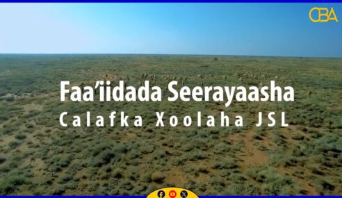 Warbixin :- Faa’iidada Seerayaasha Calafka Xoolaha Jamhuuriyadda Somaliland.
