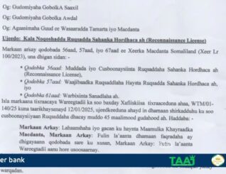 Wasaaradda Macdanta Somaliland oo ruqsadihii sahanka kala laabatay shirkadihii ugu badnaa ee Macdanta ka shaqeeya.