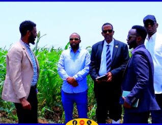 Wasiirka Xanaanada Xoolaha Somaliland Cumar Shucayb Oo Booqday Banka Wajaale Ayaa Sheegay In Mashruuca Banka Wajaale Iyo Banka Qool Caday Ay Yihiin Mashaariico Shacabka Looga Faa’iidaynayo