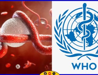 Xanuunka Ebola oo weli ku fidaya dalka Koongo