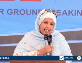 ” Anigu waxaan la dar daarmayaa shirkadii dhismahan ku guuleysatay ..” Wasiir ku xigeenka Caafimadka