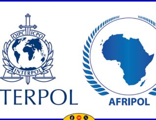 Booliiska caalamiga ah ee INTERPOL iyo AFRIPOL ayaa sameeyay hawlgal weyn oo lagu beegsanayo maalgelinta argagixisada, kaas oo sababay in 83 qof lagu xiro dhowr dal oo Afrikaan ah.