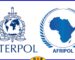 Booliiska caalamiga ah ee INTERPOL iyo AFRIPOL ayaa sameeyay hawlgal weyn oo lagu beegsanayo maalgelinta argagixisada, kaas oo sababay in 83 qof lagu xiro dhowr dal oo Afrikaan ah.