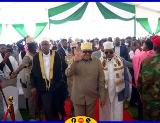 Gogosha Nabada Ceerigaabo iyo warmurtiyeedka laga soo saaray.