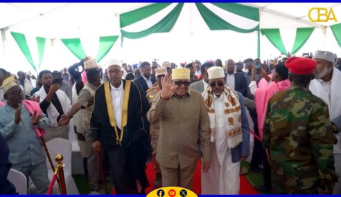 Gogosha Nabada Ceerigaabo iyo warmurtiyeedka laga soo saaray.