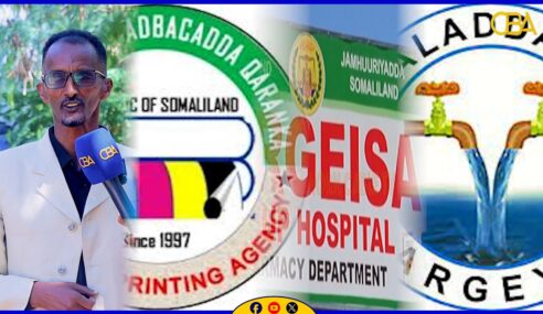 “Lacagaha dadka lagaga qaado Cisbitaalka Guud, Wakaaladda Biyaha ee Hargaysa iyo Madbacadda.