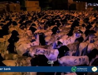 Maamul goboleedka Puntland oo mamnuucay dhoofinta xoolaha ka yar hal sano.