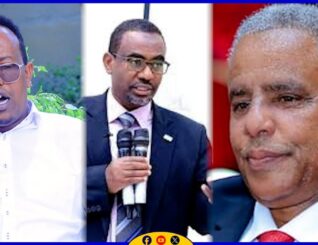 “Maxamuud Xaashi ma cunin mashruuca xunbo wayne, Cabdilaahi Abokorna xaqa ayuu ku addimay” Aadan Maxamed