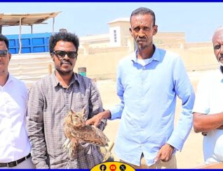 Shimbir shil baabuur ku dhaawacantay ayaa lagu wareejiyay Wasaaradda Deegaanka JSL