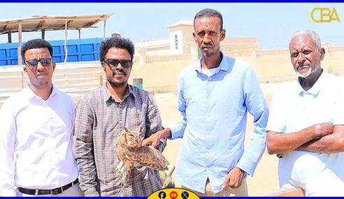 Shimbir shil baabuur ku dhaawacantay ayaa lagu wareejiyay Wasaaradda Deegaanka JSL