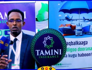 TAMINI Insurance oo kamid ah TELESOM Group ayaa adeegyo kusoo bandhigtay Carwada Tiknoolajiyadda