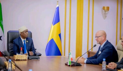 Vice President of the Republic of Somaliland Holds Key Meeting with High-Level Delegation from the Swedish Parliament