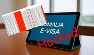 Scrap Somalia’s E-Visa Now: Warnings Ignored, Identities Exposed