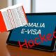 Scrap Somalia’s E-Visa Now: Warnings Ignored, Identities Exposed