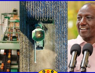 Dawlada Kenya ayaa bilowday dhismaha wershad Bacriminta beeraha ah oo qiimaheedu yahay $800 million