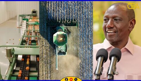 Dawlada Kenya ayaa bilowday dhismaha wershad Bacriminta beeraha ah oo qiimaheedu yahay $800 million