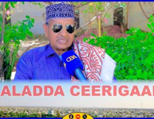 Gogoshii nabadda ee Ceerigabo wali beelaha Naleeye Axmed ayay u taal. Suldaan Maxamed Cadays.