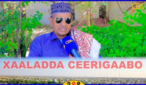 Gogoshii nabadda ee Ceerigabo wali beelaha Naleeye Axmed ayay u taal. Suldaan Maxamed Cadays.