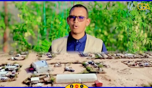 Haayada Taakulo ayaa Burco ka fulisay mashruuca hab beerista casriga ah oo ay ka faa’ideysteen ..