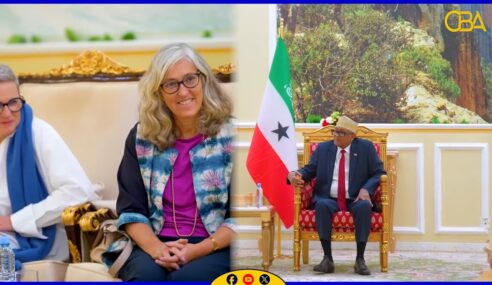 Madaxweynaha Jamhuuriyadda Somaliland oo kulan muhiim ah la yeeshay Safiirka Midowga Yurub (EU)