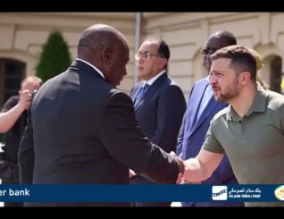 Mid ka mid ah gabdhaha madaxweynihii hore ee Koonfur Afrika, Jacob Zuma, oo dacwad ka gudbisay walaasheed— iyadoo ku eedeysay inay shaqaaleysiinayso rag ka socda Koonfur Afrika iyo Botswana.”