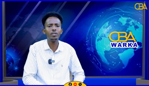 Nuxurka Warka:15-11-2025