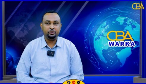 Nuxurka Warka:4-11-2025